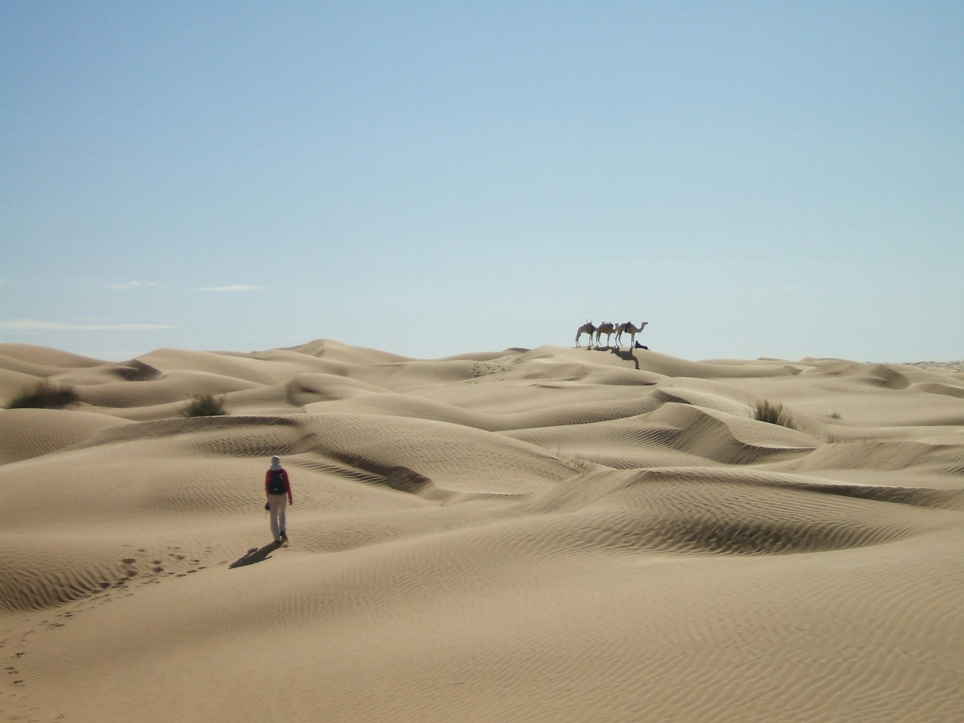 Sex in de sahara